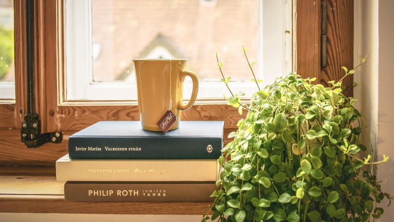 23_desconexión digital_ALBERTSOLERARPA